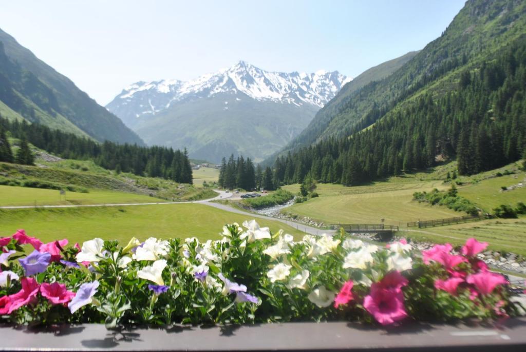 Haus Margret Bed & Breakfast Sankt Leonhard im Pitztal Oda fotoğraf